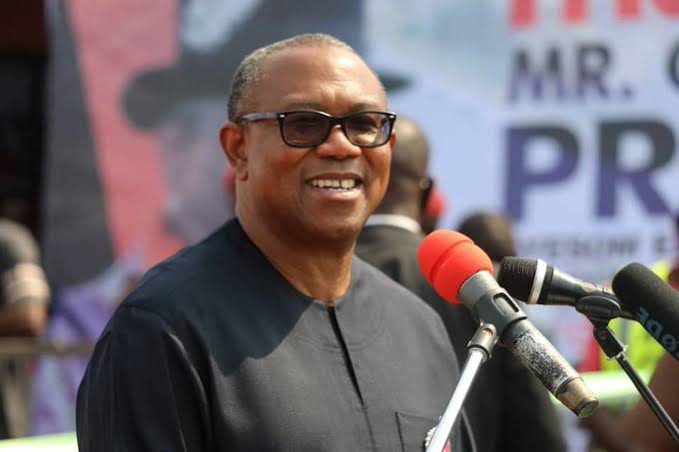 2023 Presidency: Peter Obi Will Be Disadvantaged if You Stop Elections – Ekwo To IPOB | Daily Report Nigeria