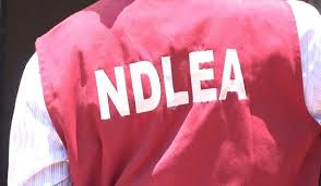 NDLEA Warn Hajj Pilgrims Against Drug Trafficking | Daily Report Nigeria