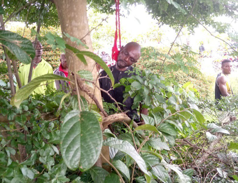 Lifeless Body Of Man Found Hanging On Tree In Delta Community | Daily Report Nigeria