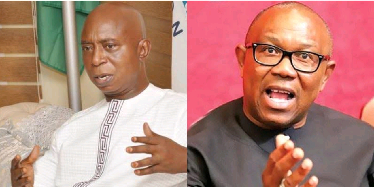 2023: Why Peter Obi Can’t Be Nigeria President –Ned Nwoko | Daily Report Nigeria