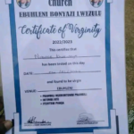 Church Certifies Ladies Who Past Virginity Test | Daily Report Nigeria