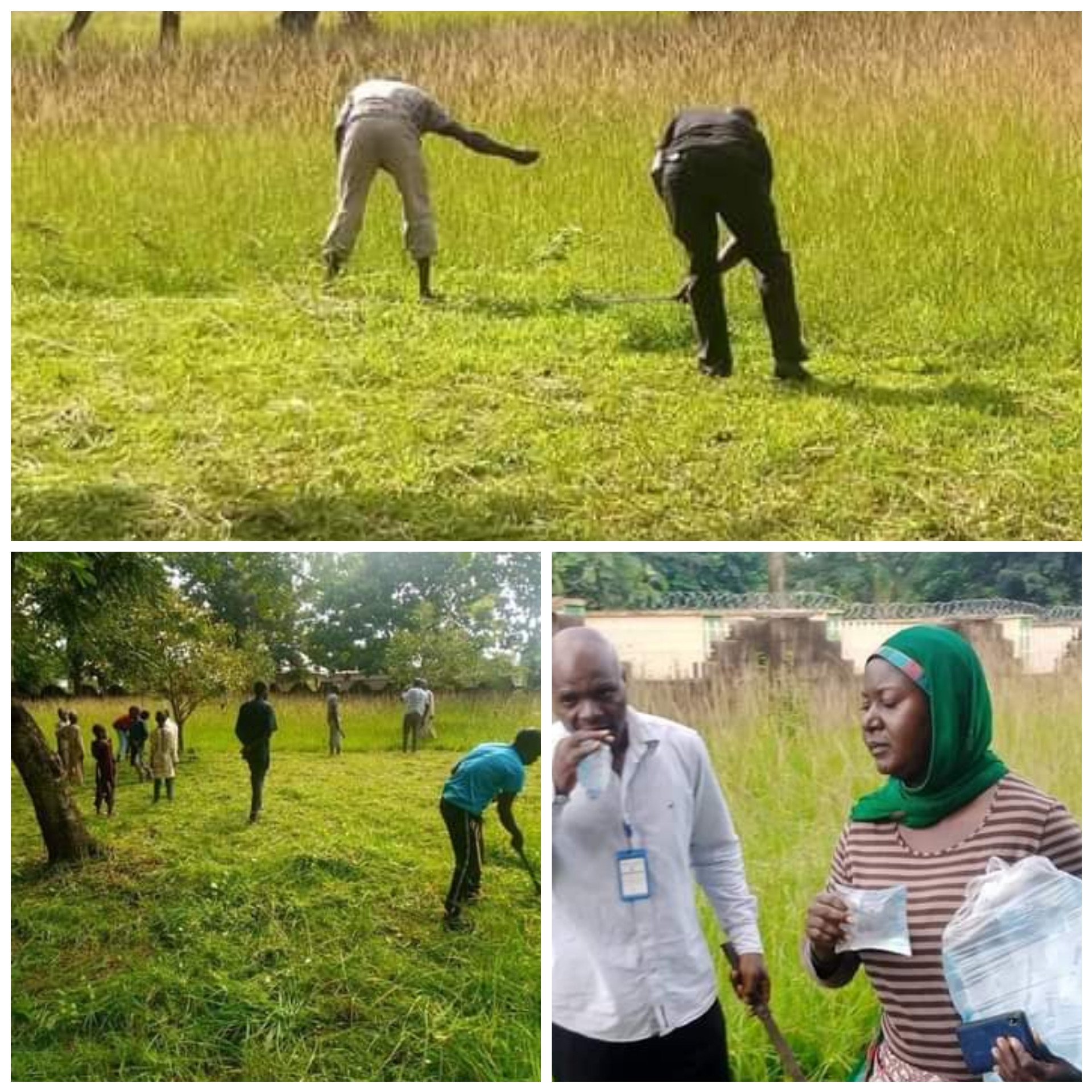 Christians Join Muslims To Clear Grass At Kaduna Mosque Ahead Of Sallah | Daily Report Nigeria