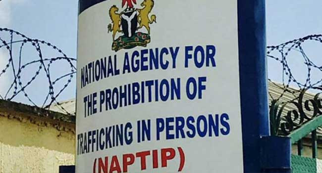 Child Trafficker Commit Suicide In NAPTIP Detention | Daily Report Nigeria