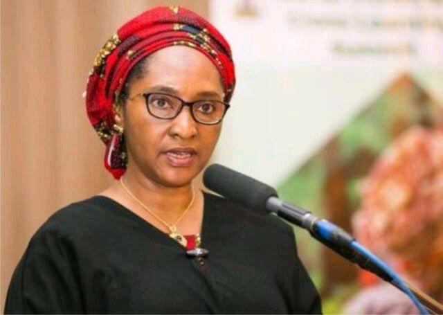 Economy Doing Better Under Buhari Govt Than Others, Finance Minister Says | Daily Report Nigeria