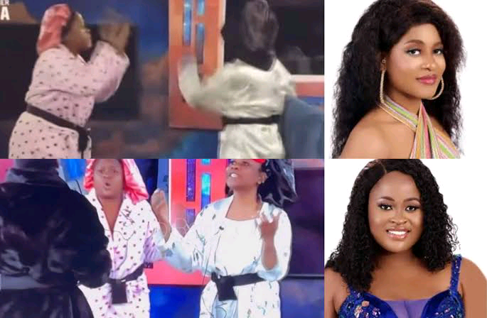 BBNaija 2022: Amaka, Phyna Record First Major Clash | Daily Report Nigeria