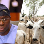 Sanwo-Olu Hints to Create 250-hectare Cattle Ranch in Lagos | Daily Report Nigeria