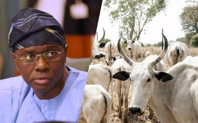 Sanwo-Olu Hints to Create 250-hectare Cattle Ranch in Lagos | Daily Report Nigeria