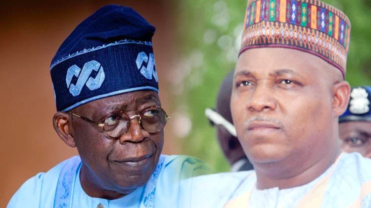 2023 Presidency: I Never Supported Tinubu To Be His Running Mate – Shettima | Daily Report Nigeria