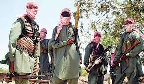 Terrorists Attack Katsina Village, Kill Five Policemen, Three Civilians | Daily Report Nigeria