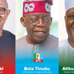 The Morphology of Political Parties' Primaries in Nigeria -- What happened ahead of 2023? | Daily Report Nigeria