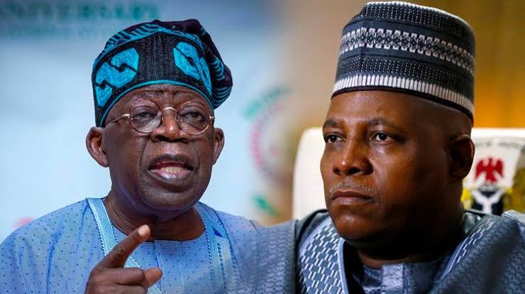 Why Tinubu Picked Shettima As Running Mate – Deji Adeyanju | Daily Report Nigeria