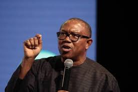 2023 Elections : 'Nigeria Is In A Coma, And It Needs A Specialist' - Peter Obi | Daily Report Nigeria