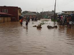 3 Siblings, 4 Others Died In Lagos Flood – NEMA | Daily Report Nigeria