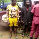 Amotekun Outfit Arrests Two Robbers of 18 Goats in Oyo