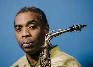 What I discussed with Peter Obi - Femi Kuti | Daily Report Nigeria