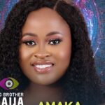 BBNaija S7: Amaka's Eviction from Show Not Real—Fans Argue