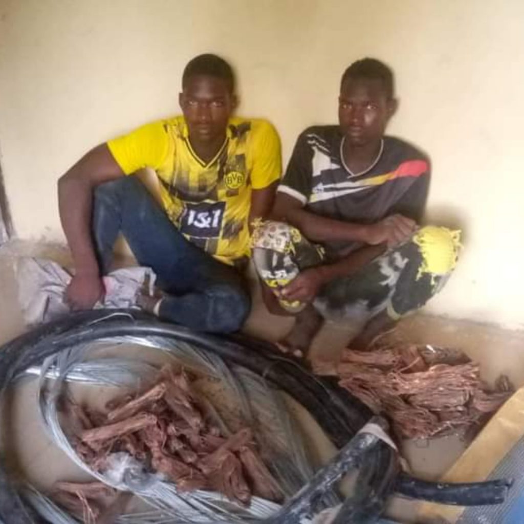 Two Suspected Vandals Nabbed in Borno | Daily Report Nigeria