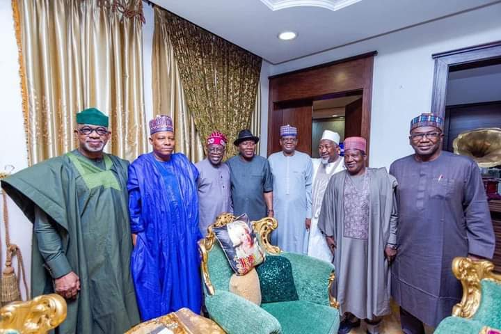 2023: Details of Tinubu’s Meeting With Jonathan Emerge