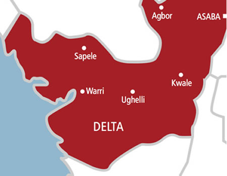 Three Feared Dead As Car Rams into Cows in Delta | Daily Report Nigeria