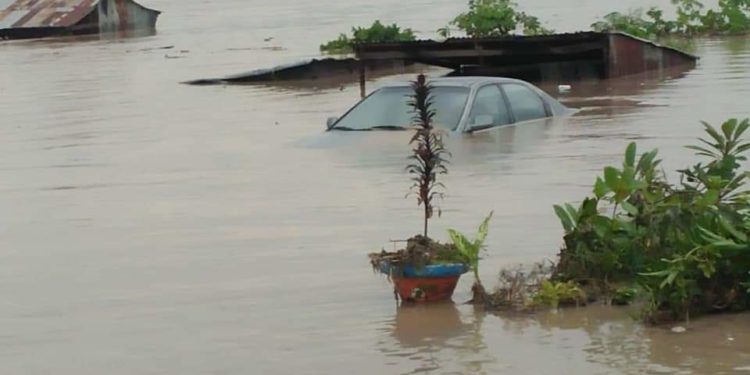 Flood Kills 50, Destroys Houses In Jigawa | Daily Report Nigeria