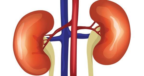 11 Ways to Prevent Kidney Failure