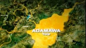 Man Stones Children to Death in Adamawa | Daily Report Nigeria