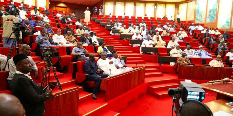 Termites Ate Vouchers Of Our N17.1bn Spending– NSITF Tells Senate | Daily Report Nigeria