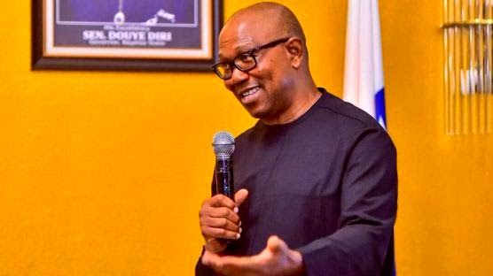 Corruption Allegations Against Peter Obi, Labour Party Presidential Candidate | Daily Report Nigeria