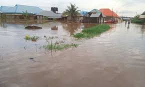 Over 200 Households Destroyed by Flood in Makurdi | Daily Report Nigeria