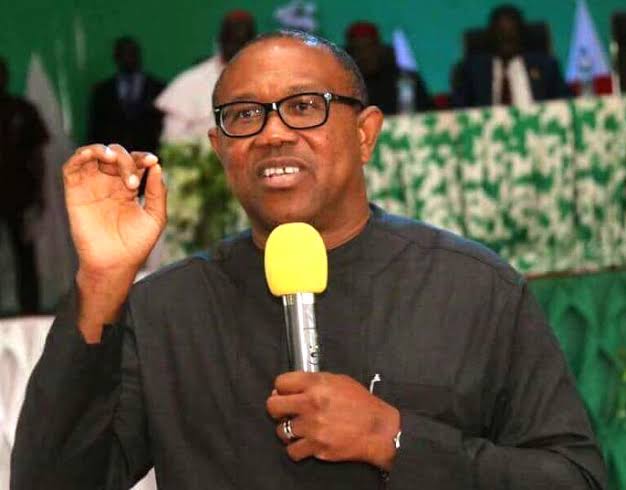 2023 Presidency: I'll Stop Campaigning If... - Peter Obi | Daily Report Nigeria