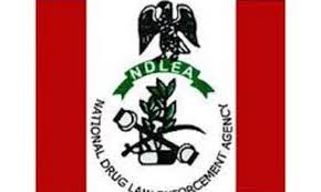 FG Approves N580m For NDLEA Armoured Vehicles | Daily Report Nigeria