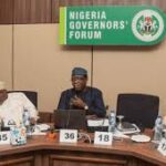 Governors Reject FG's Plan to Privatize Power Plants | Daily Report Nigeria