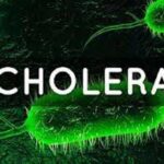 Cholera Outbreak Kills 10 Gombe Communities | Daily Report Nigeria