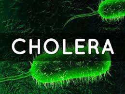 Cholera Outbreak Kills 10 Gombe Communities | Daily Report Nigeria