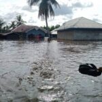 Flood: PAP Cancels One-Day Workshop With Stakeholders | Daily Report Nigeria