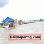 FLOOD: Panelists Task FG, States to Take Responsibility | Daily Report Nigeria