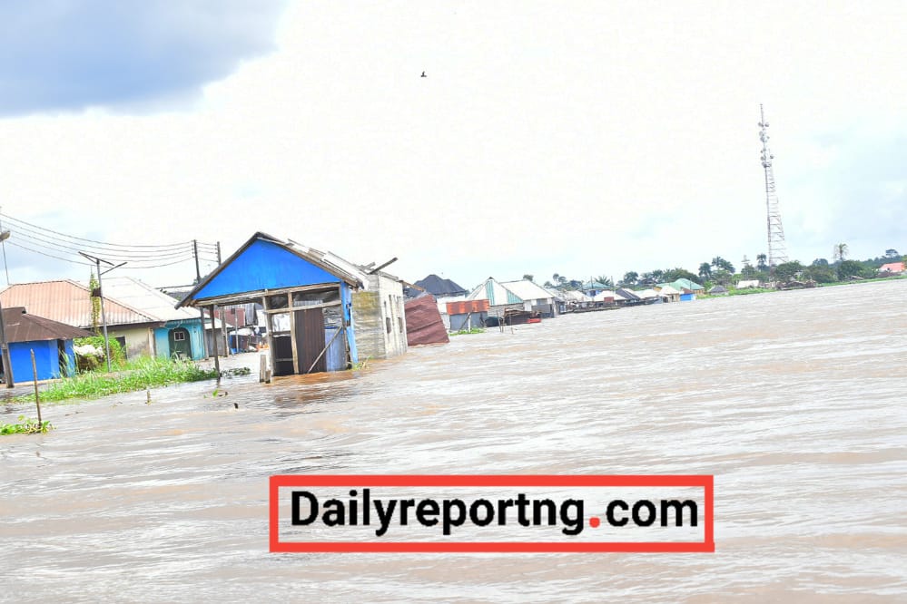 FLOOD: Panelists Task FG, States to Take Responsibility | Daily Report Nigeria