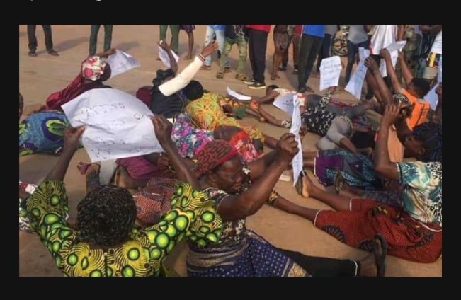 Protest In Ebonyi Over Whereabouts Of LP Senatorial Candidate, Linus Okorie | Daily Report Nigeria