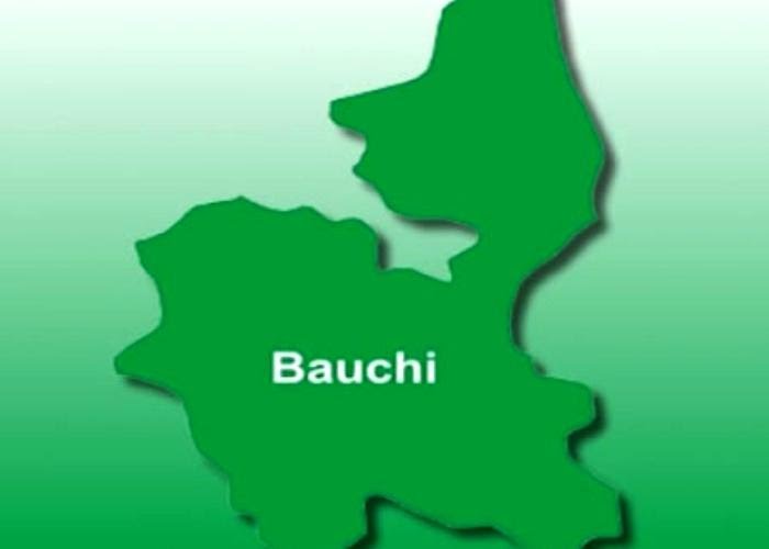 Auto Crash Kills 11 in Bauchi | Daily Report Nigeria