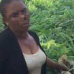 Woman Beats Maid to Death, Abandons Corpse in Bush | Daily Report Nigeria