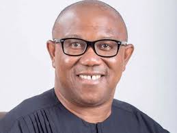 2023: Nollywood Stars Endorse Peter Obi, Launch Fundraiser | Daily Report Nigeria