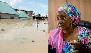 Flood: 612 Killed, 2,776 Injured - Minister | Daily Report Nigeria