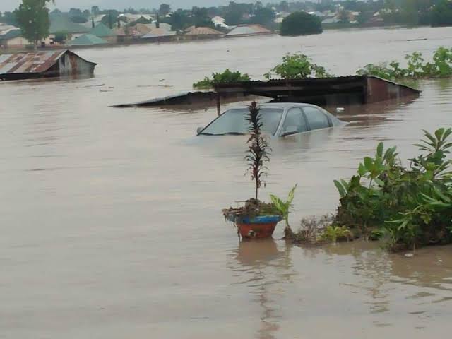 Why Most States in Nigeria Are Flooded | Daily Report Nigeria