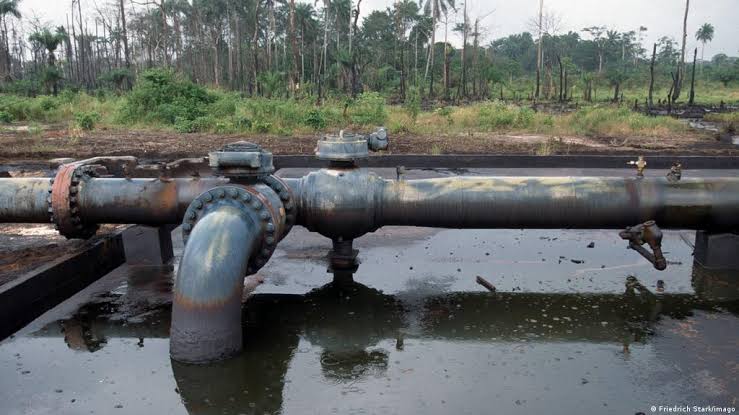 FG Discovers 4km Illegal Pipeline in Delta | Daily Report Nigeria