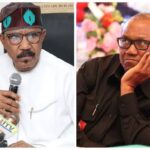 2023: It'll be Miracle of The Century if Peter Obi Wins - Minister | Daily Report Nigeria