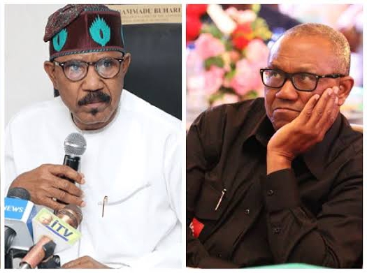 2023: It'll be Miracle of The Century if Peter Obi Wins - Minister | Daily Report Nigeria