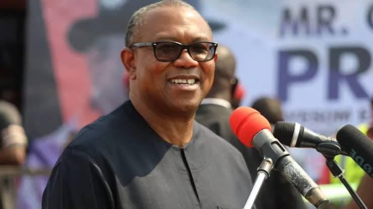 LP Announces Date Peter Obi Will Unveil 7-Point Agenda | Daily Report Nigeria