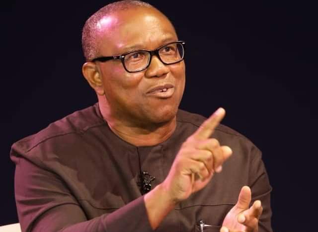 2023 Presidency: I’ll Quit Campaigns If... - Peter Obi | Daily Report Nigeria