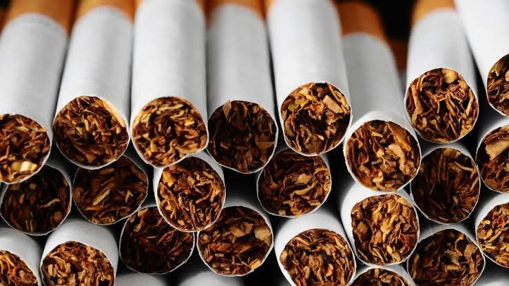 28,000 People Die of Tobacco Consumption Yearly  - NTCA | Daily Report Nigeria