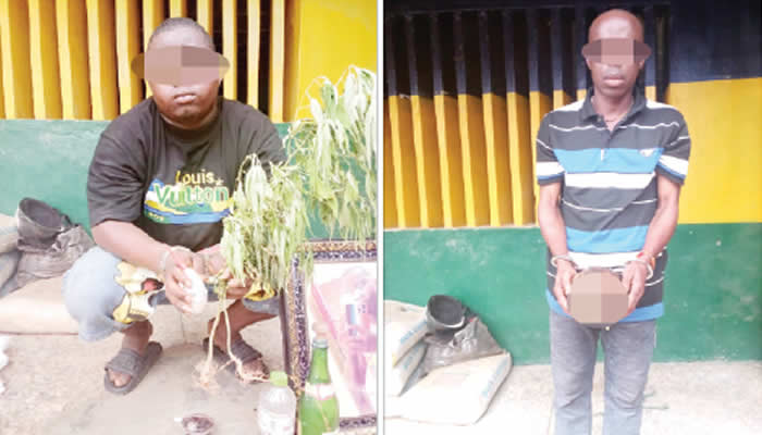 Herbalist, Yahoo Boy Caught with Human Parts in Delta | Daily Report Nigeria